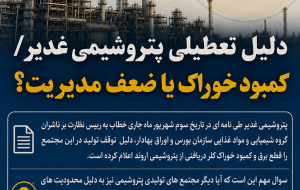 دلیل تعطیلی پتروشیمی غدیر/ کمبود خوراک یا ضعف مدیریت؟
