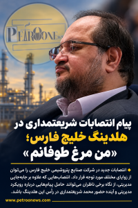 پیام انتصابات شریعتمداری در هلدینگ خلیج فارس؛ «من مرغ طوفانم»